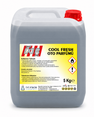 Cool Fresh Oto Parfümü